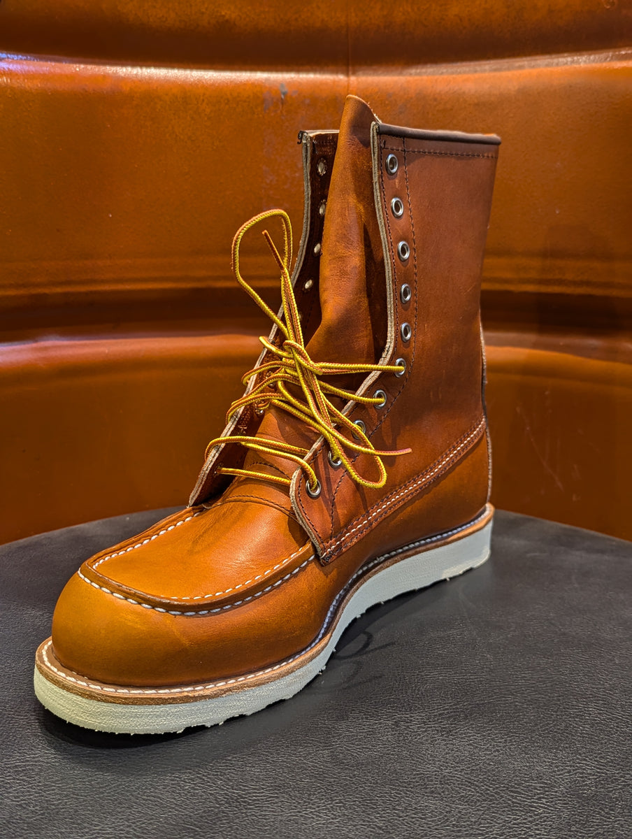 PXL-20241221_022129183.